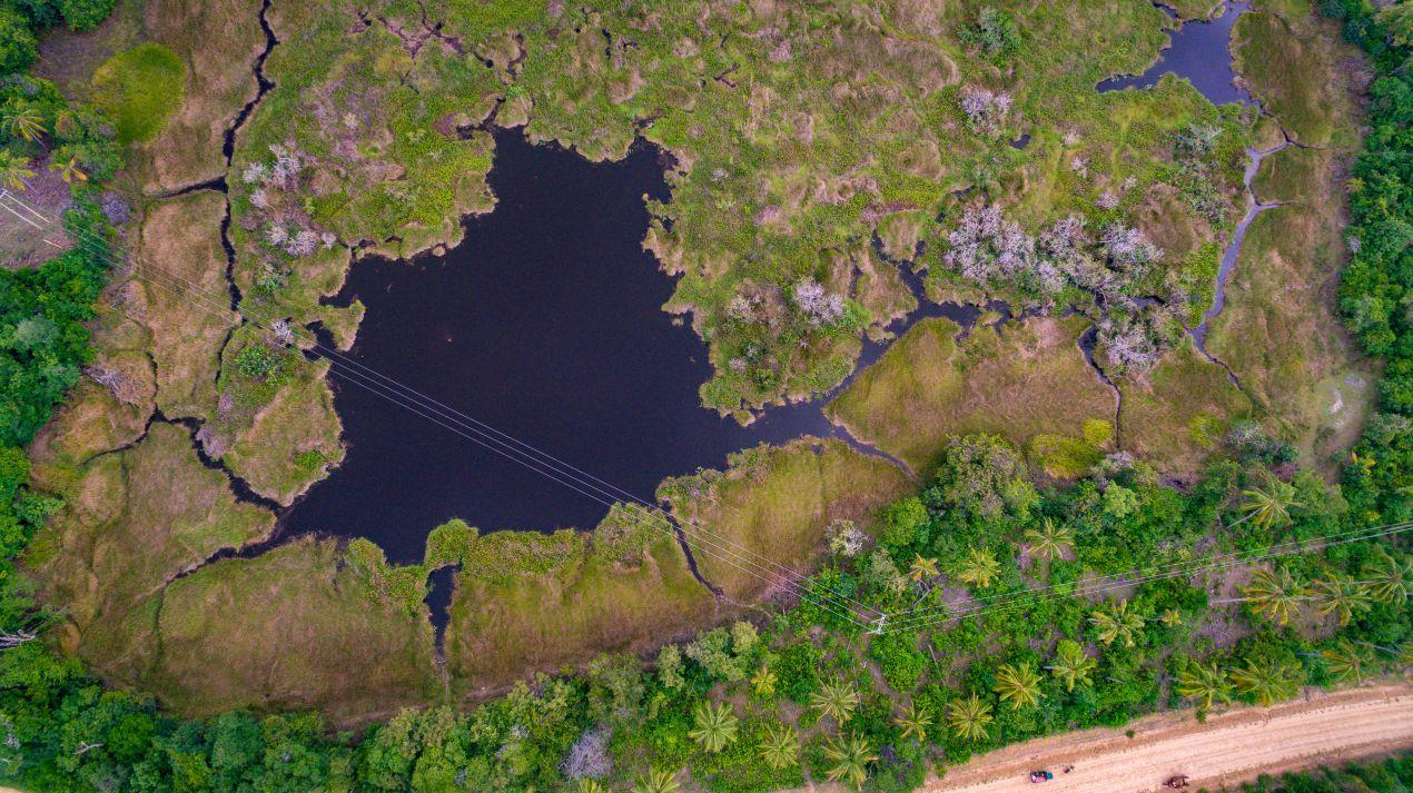 Üppige Vegetation, Lagunen und Mangrovenwälder aus der Vogelperspektive auf Mafia Island Tansania